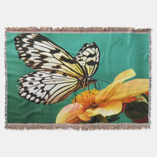 Manta Mariposa Monarca Y Flor Naranja (Anverso)