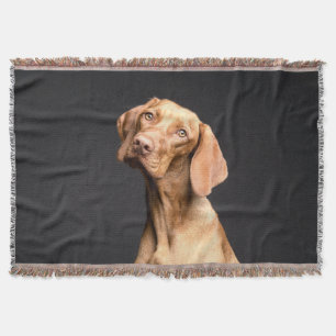 Manta Mascota Brown Beagle Dog