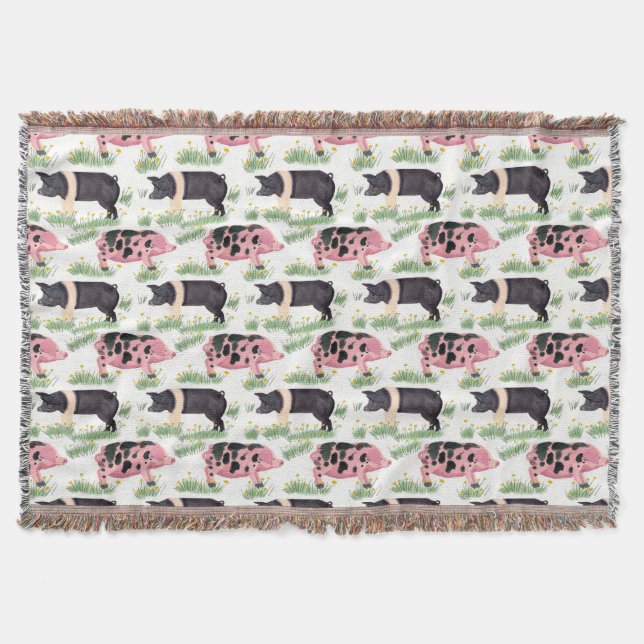 Manta Matrícula antigua (Anverso)