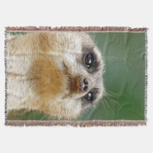 Manta Meerkat 012 (Anverso)