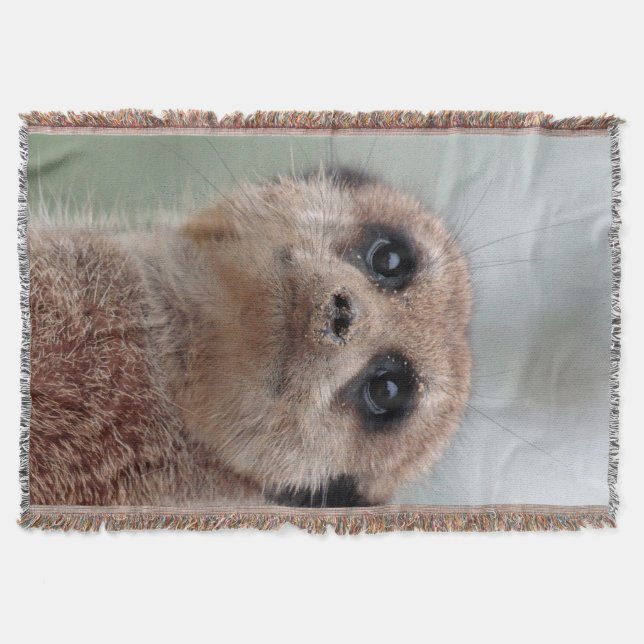 Manta Meerkat 020 (Anverso)