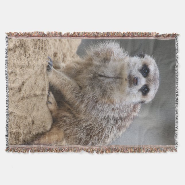 Manta Meerkat 021 (Anverso)