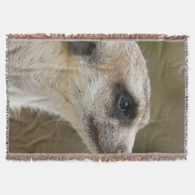 Manta Meerkat 028 (Anverso)