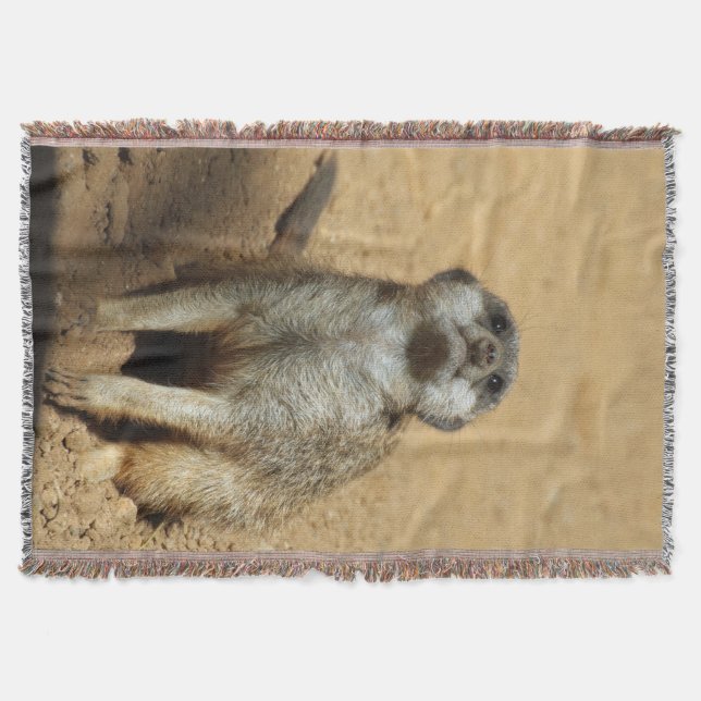 Manta Meerkat 031 (Anverso)