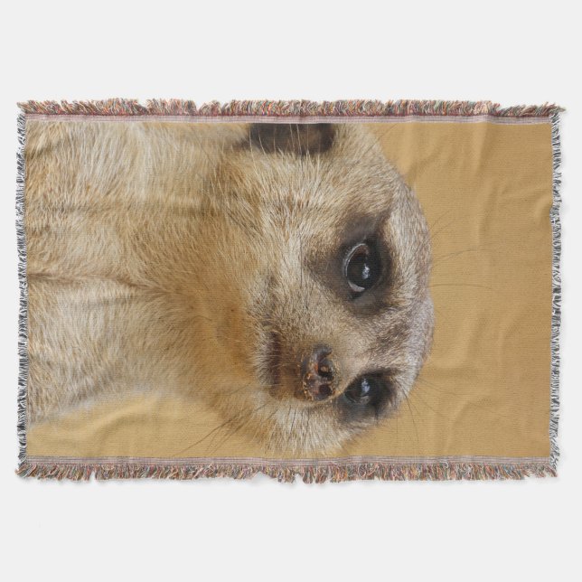 Manta Meerkat 037 (Anverso)