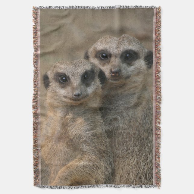 Manta Meerkat 067 (Frente vertical)