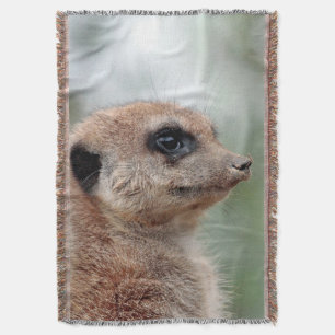 Manta Meerkat 180