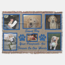 Memorial fotográfico mascota "Tus huellas"