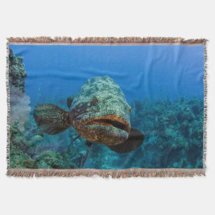 Manta Mero Goliat Atlántico