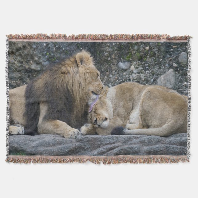 Manta Mighty Lion Love (Anverso)