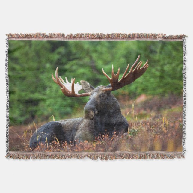 Manta Moose Throw Blanket (Anverso)