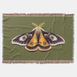 Manta Moth Insect Art Goblincore Saturnia Witchen Green