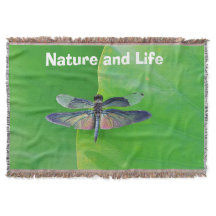 Naturaleza verde y libélula