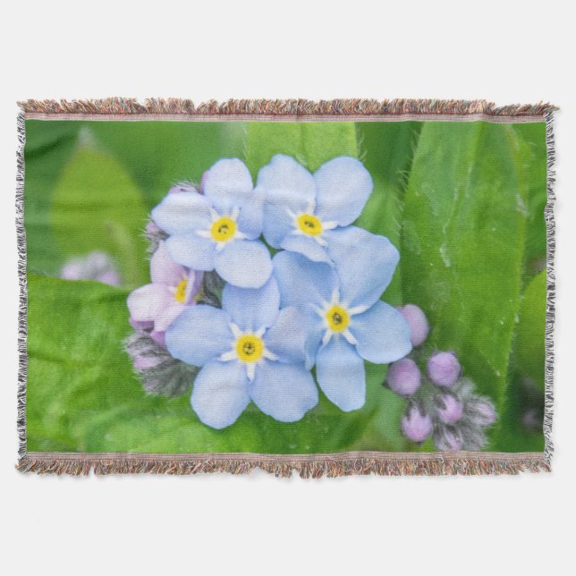 Manta Olvídenme (Anverso)