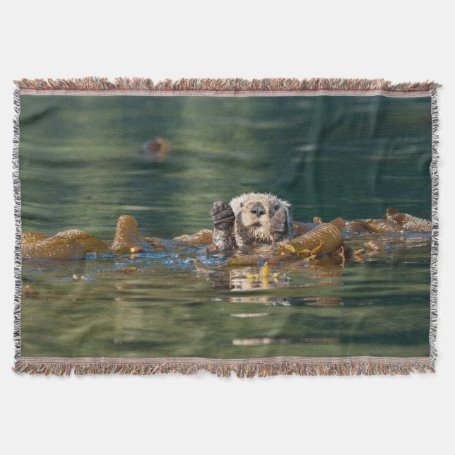 Manta Otter Sea Otter (Anverso)