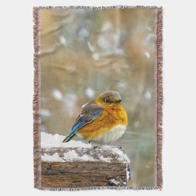 Manta Pájaro azul oriental en nieve - Fotografía origina (Frente vertical)