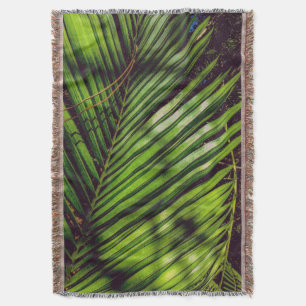 Manta Palm Frond, Pine Needles and Shadows Thadows Blank