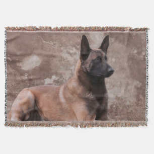 Manta Pastor belga de Malinois - Mechelaar