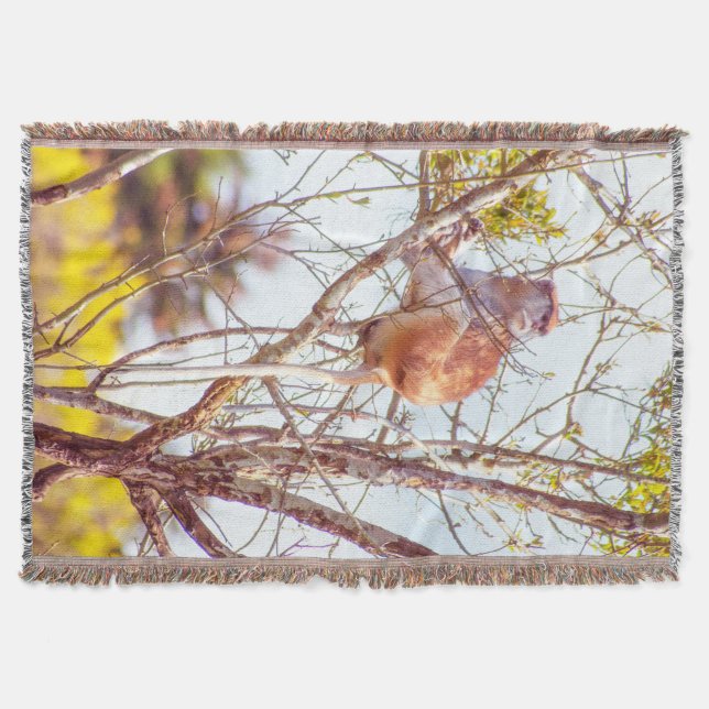 Manta Patas arriba un árbol (Anverso)