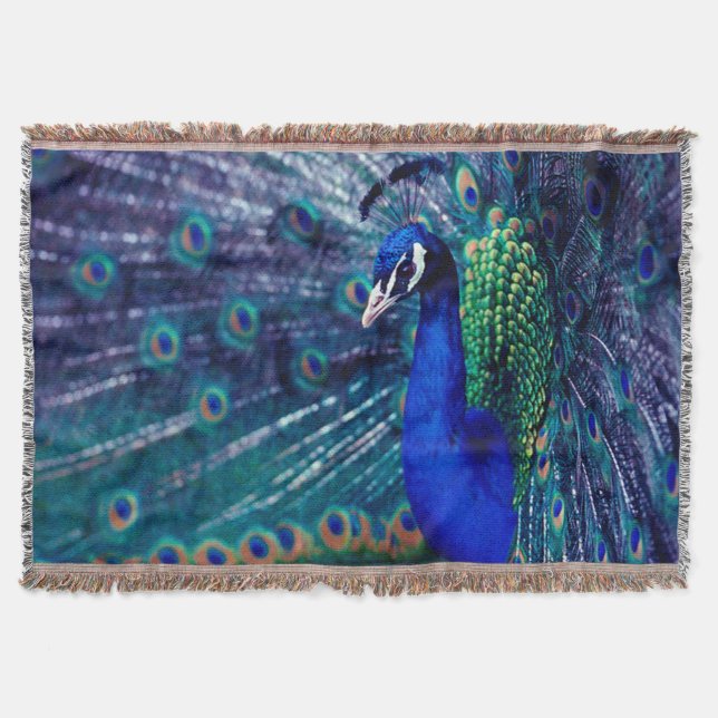 Manta Pavo Azul (Anverso)