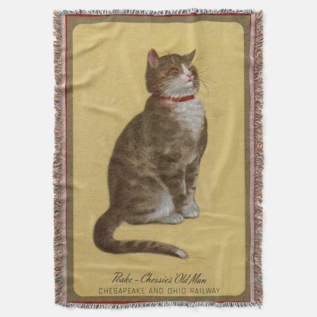 Manta Peake, gato de tabby del tomcat del viejo hombre (Frente vertical)