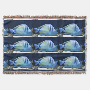Manta Peces tropicales