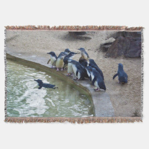 Manta Penguin Relay: Equipo de natación de la bandada de