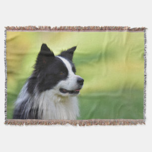 Manta Perro Border Collie negro y blanco