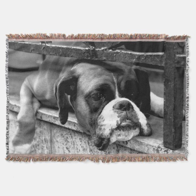 Manta Perro Boxer En Windowsill tbcnm (Anverso)