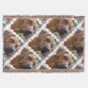 Manta Perro de Rhodesian Ridgeback