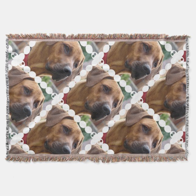 Manta Perro de Rhodesian Ridgeback (Anverso)