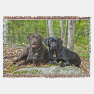Manta Perros cachorros Black Lab Chocolate Labrador Recu