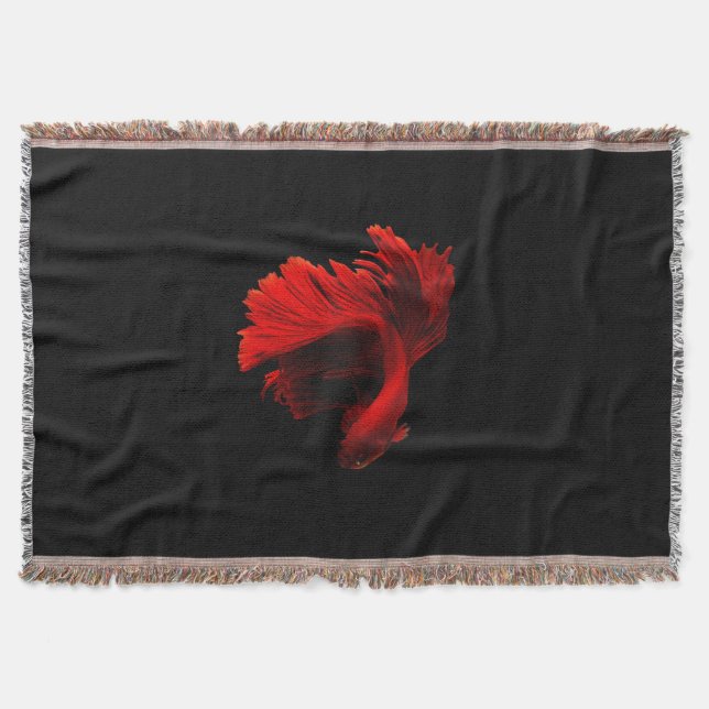 Manta Pescado rojo ruby de combate siamés (Anverso)