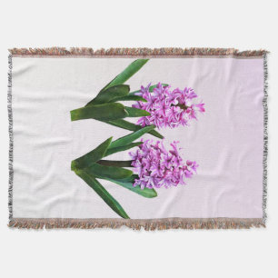 Manta Pink Hyacinth Duo