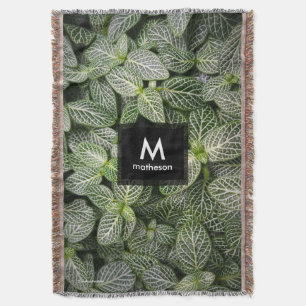 Manta Planta Fittonia Mosaico con Hojas Variadas