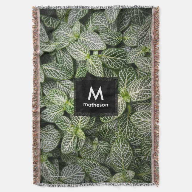 Manta Planta Fittonia Mosaico con Hojas Variadas (Frente vertical)