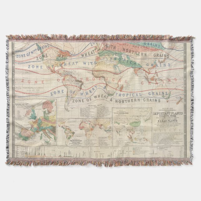 Manta Plantas de la distribución (Anverso)