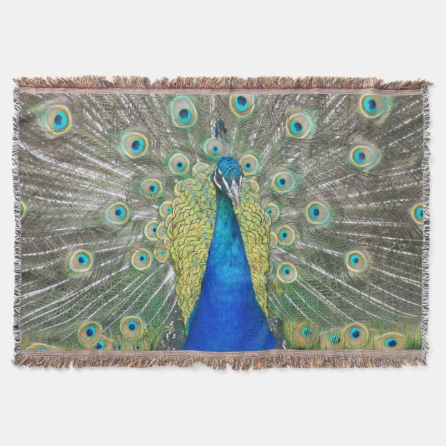 Manta Pluma de plumas de pavo real azul (Anverso)