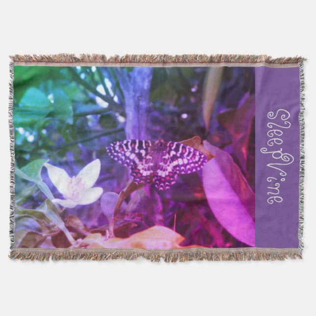 manta polar (Anverso)