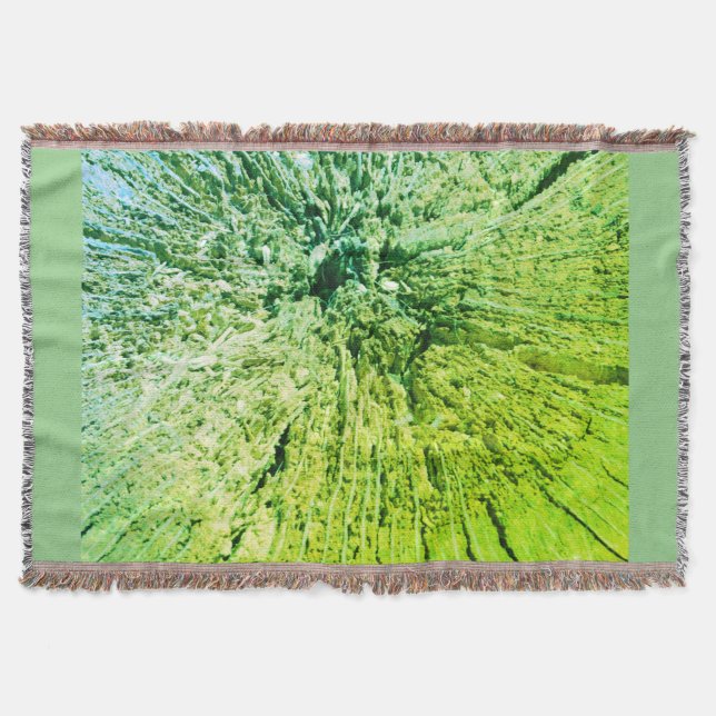 manta polar (Anverso)