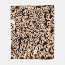 Manta Polar 101 ferrets