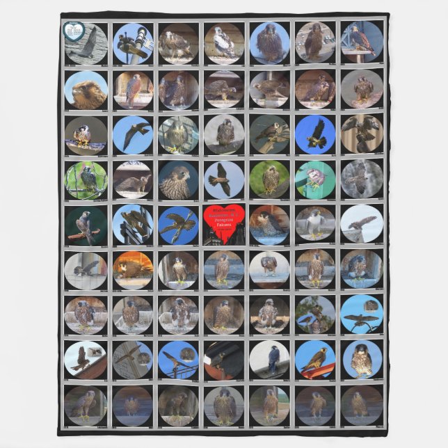 Manta Polar 1998-2019 Cernícalo peregrino de Rochester, Nueva  (Anverso)