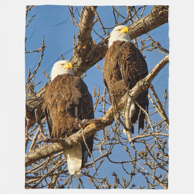 MANTA POLAR 2 BALD EAGLES (Anverso)