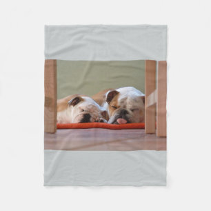 Manta Polar 2 el dormir bulldogs.png