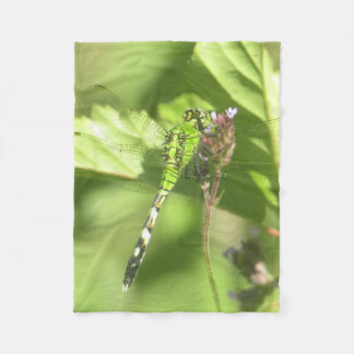 Manta Polar 30"x40" Fleece Blanket de la foto original de ITW1