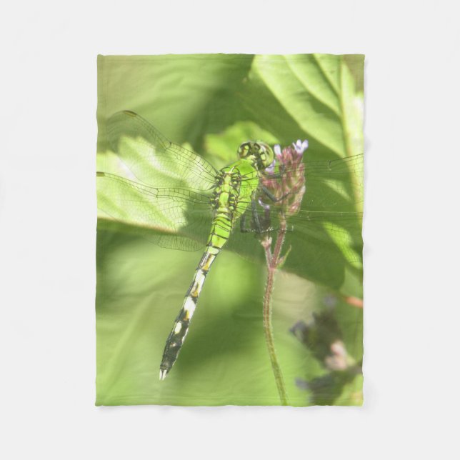 Manta Polar 30"x40" Fleece Blanket de la foto original de ITW1 (Anverso)