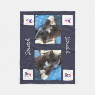 Manta Polar 4PetRescue