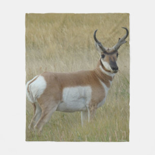 Manta Polar A1 Pronghorn Antelope Big Buck