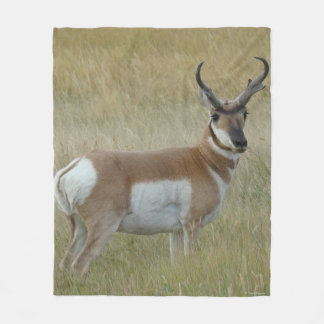 Manta Polar A1 Pronghorn Antelope Big Buck