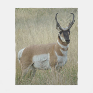 Manta Polar A9 Pronghorn Antelope Big Buck